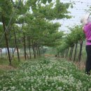 오리공원 이미지