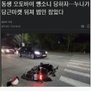 당근마켓 뒤져서 동생 뻉소니범 잡은 친누나 이미지