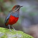 효성중앙지역아동센터 이미지