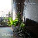 (주)꽃과사람