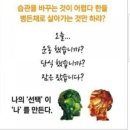 오혜숙생활단식채비지사 이미지