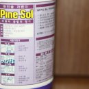 파인솔