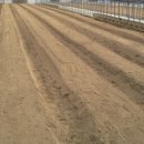 귀둔농장 이미지