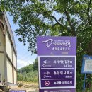 춘양면사무소 Daum카페