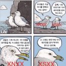 7월 첫째주 일상