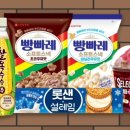 바닐라소프트(주) 이미지