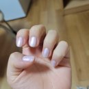 시립대네일 찾고있다면! 다뽀네일💅 #내돈내산후기