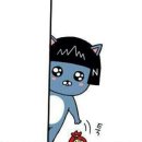 홀리몰리 이미지