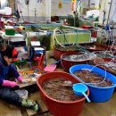 죽변 공설시장 이미지