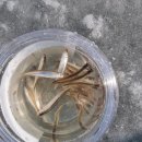 길상농장 이미지