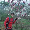 4월의 꽃바람~~낙남정맥 6구간 딱밭골재/진주분기점 22.k(16/4/4/월)누적거리92.3km 이미지