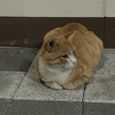 사람들 가슴엔 별이 살고 있다
