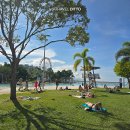 이레할인마트 | 호주 케언즈 에스플러네이드 라군 무료 수영장 운영시간 후기