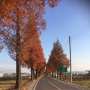 죽동마을 이미지