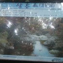 (구)보건소사거리2(하나은행앞) 이미지