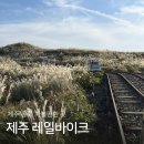 구르는 제주 | 제주 레일바이크 겨울/ 요금/ 할인/ 소요시간/ 제주 동쪽 아기랑 가볼만한 곳