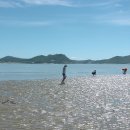 죽림마을 이미지