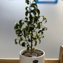 생각이크는수학교습소 | 중랑구 수학학원 면목동 수학학원 [생각이크는 수학교습소] 아이들이 스스로 다니고싶어하는 학원!