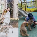 티파니 스타뉴스