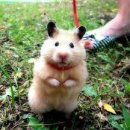 신세계동물의료센터 이미지