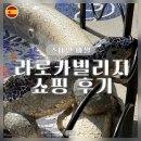 라로카빌리지 방문기 | 바르셀로나 쇼핑천국 프라다 지갑 득템