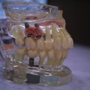 중산사과나무치과병원 이미지