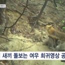 돌고래공인중개사사무소 이미지