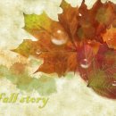 미담한의원 이미지