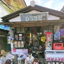 경주 가볼만한곳 👍 추억의 달동네 + 산림환경연구원 코스 완벽 정리