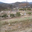 내곡동509 이미지