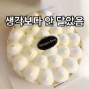하겐다즈 - 서초구 서초대로38길 12 | 하겐다즈 리얼블랑 후기 생각보다 안 달았던 아이스크림 케이크