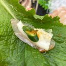 동남로 81길 | [서울/고덕] 고덕횟집 '고덕싱싱수산' 매운탕까지 먹은 추천 후기