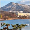 파트너행정사 사무소 이미지