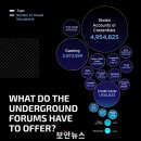 넷사이버 이미지