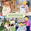 한아름원예치료 이미지