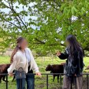 킹스어학원 이미지