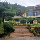 초록나무집 | [충주] 가족 모임 코스 요리 추천 수안보 맛집 꿩 전문점 충주 여행 &#34;감나무집&#34; 솔직후기