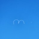 성주경찰서 공중화장실 | [여행] 노랑풍선 패키지 4박 6일 / 시드니 패키지 / 나 홀로 시드니 (1)