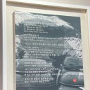 [내돈내산] 김포 장기점 - 입이 즐거워 자꾸만 입이 가는 “이비가 짬뽕”