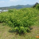 삼태리농장 이미지