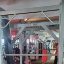 룰루 휘트니스 이미지