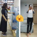 44브라보