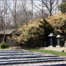 탑리보건진료소 이미지