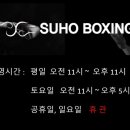 수호복싱클럽 이미지