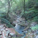 김삿갓어둔골 이미지