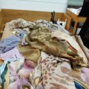 구스퍼니 이미지