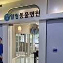 힐링동물병원 &  건강검진센터 이미지