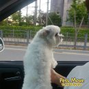 펫츠나라 동물병원 이미지