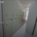 쉬라인필라테스