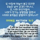 【한국 무궁화 어머니회, 시국선언문】 이미지